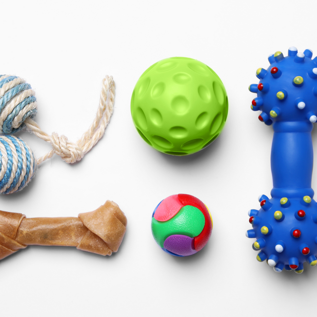 Pet Toys