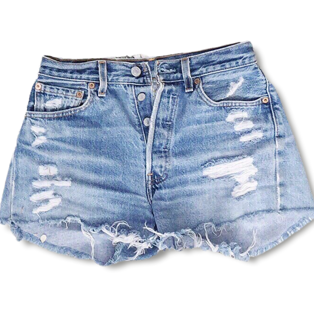 Women's Shorts