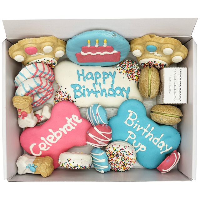 Best Happy Birthday Dog Treats Gift Box