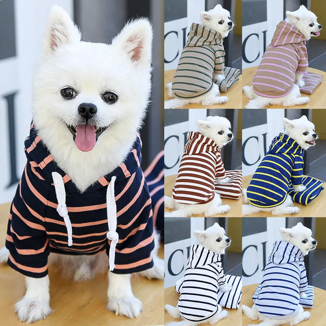 Super Cut Doggie Hoodie