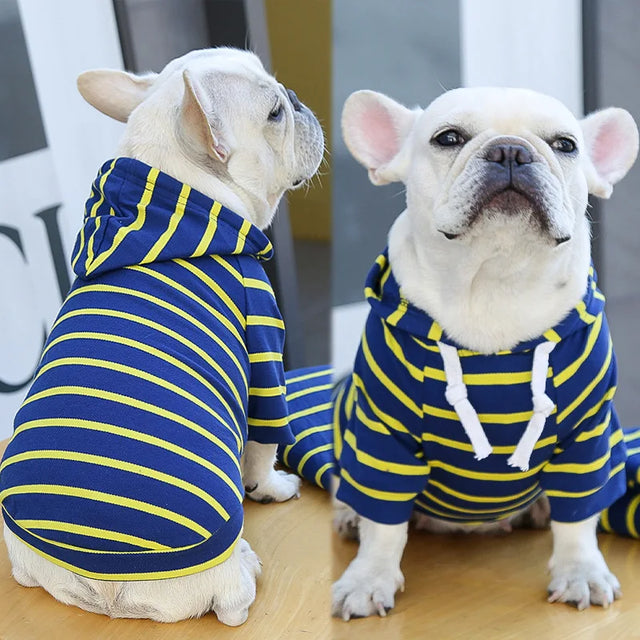 Super Cut Doggie Hoodie